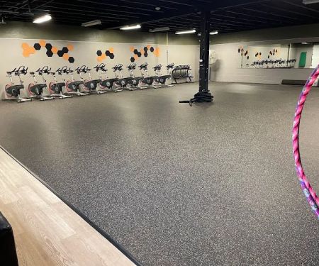 Anatomy Warehouse