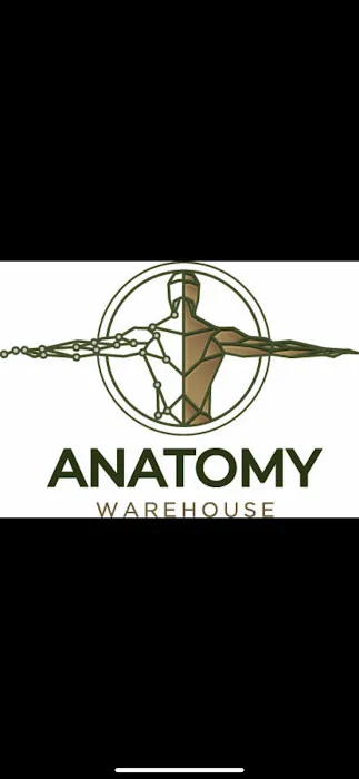 Anatomy Warehouse Picture 6