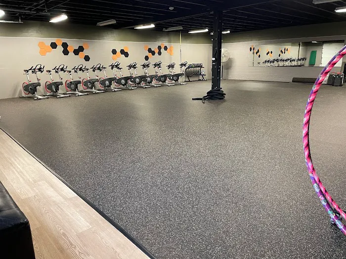 Anatomy Warehouse Picture 2