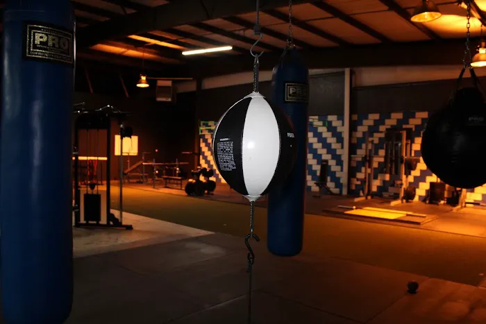 Lewko Tensity Gym & Training Facility Picture 2