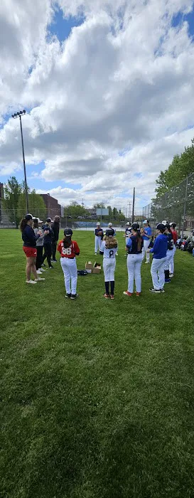 Josh Gibson Field Picture 9