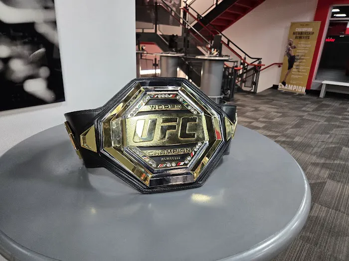 UFC Gym Market Square Picture 9