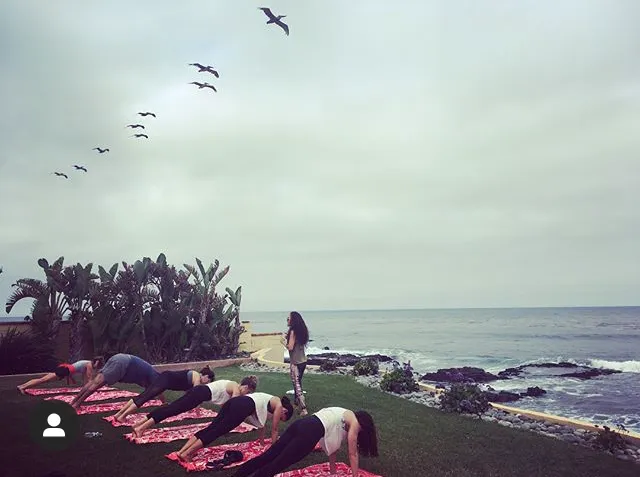 Dub Yoga Plus LLC Picture 10