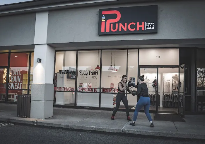 Punch Boxing & Fitness Studio Picture 5