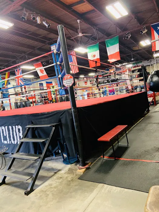 Wolfpack Boxing Club Picture 4