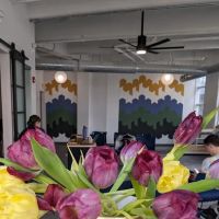 Rebel Wellness ico