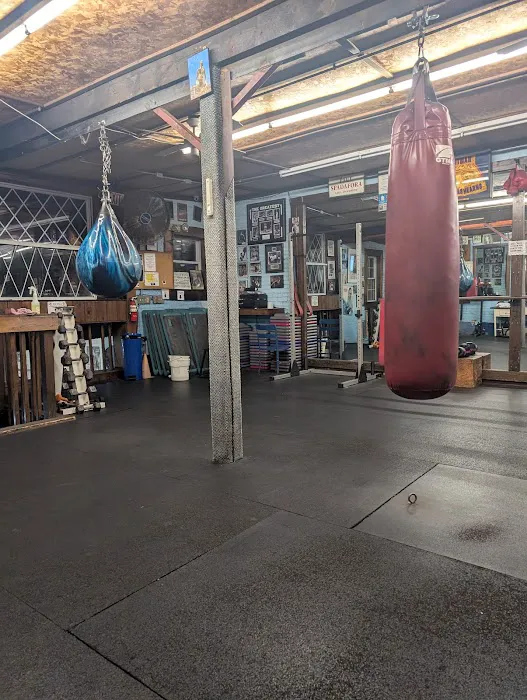 Anchor boxing Picture 5