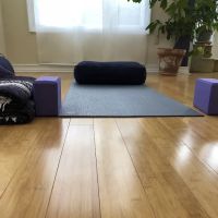 Saha Yoga ico