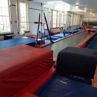 Stepping Star Gymnastics-Dance ico