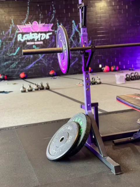 Renegade Fitness Training Picture 3