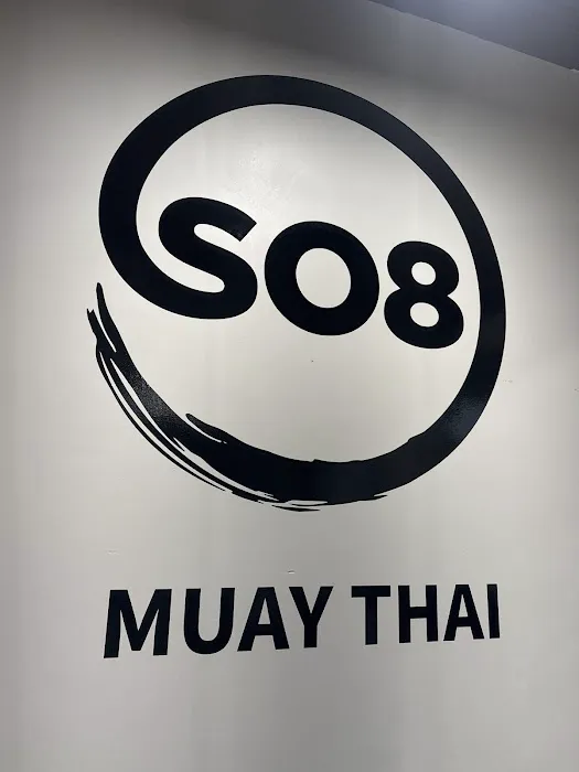 SO8 Muay Thai Picture 2
