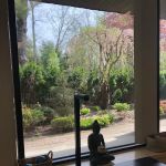 Bedford Pilates and Fitness Studio