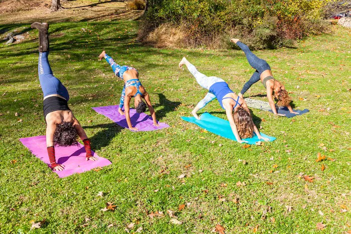 Good Life Experience Pilates Picture 3