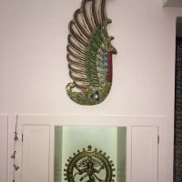 The Angel Wing ico