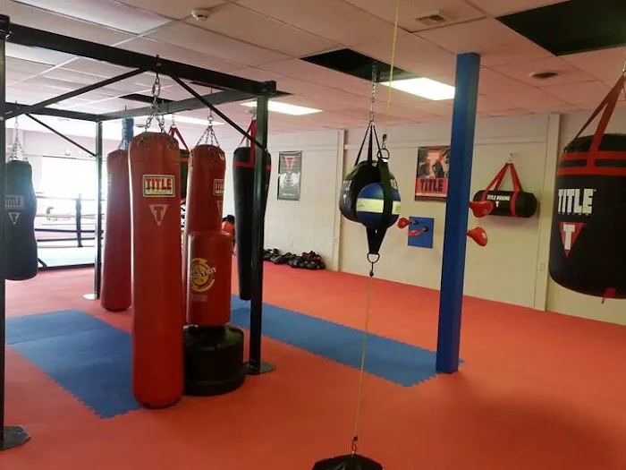 Blue Boy Boxing Club Picture 4