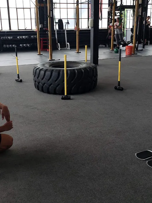 Elite Strength and Performance, LLC Picture 1