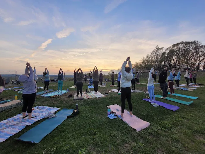 Nourished Roots Yoga Picture 6