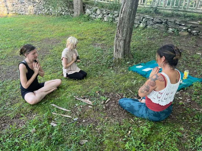 Nourished Roots Yoga Picture 9
