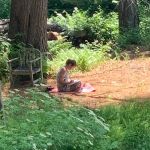 October Gardens Yoga and Meditation