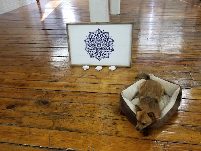 Blue Dandelion Yoga Picture 6