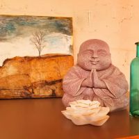Blue Dandelion Yoga ico