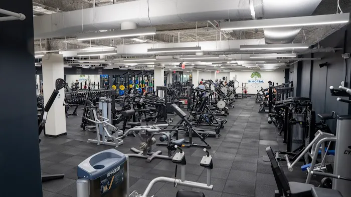 Immortal Fitness Picture 2