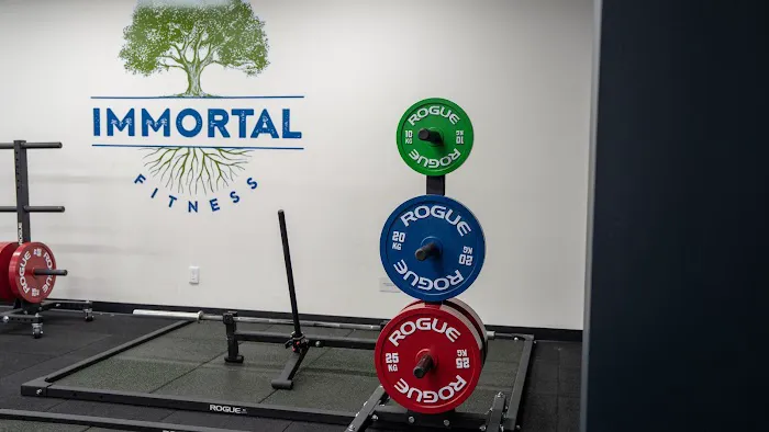 Immortal Fitness Picture 10