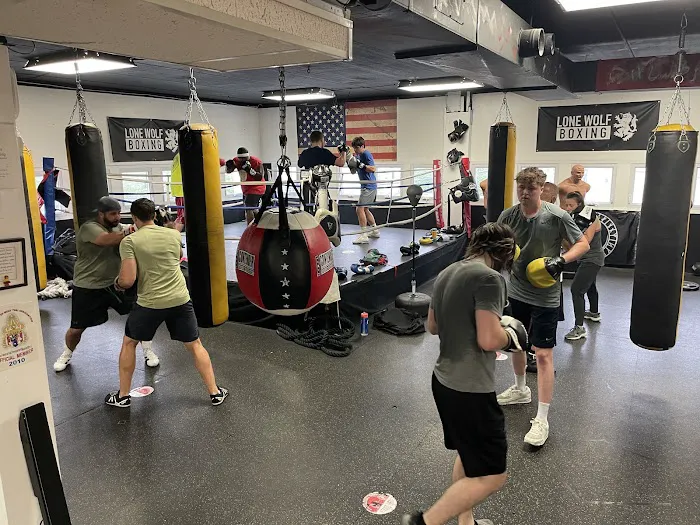 Lone Wolf Boxing Gym Picture 3