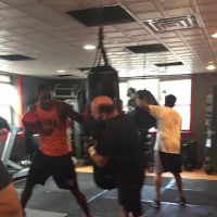 Lone Wolf Boxing Gym ico