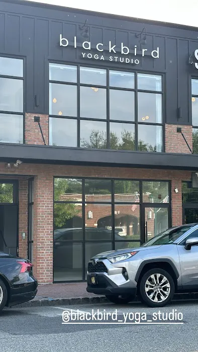Blackbird Yoga Studio Picture 2