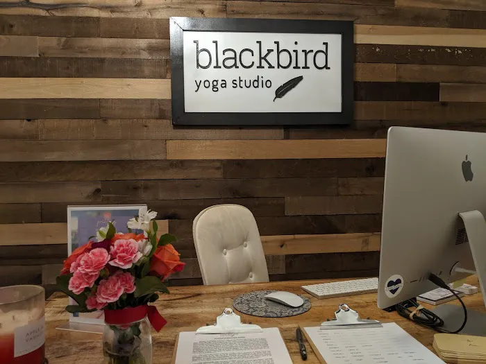 Blackbird Yoga Studio Picture 3