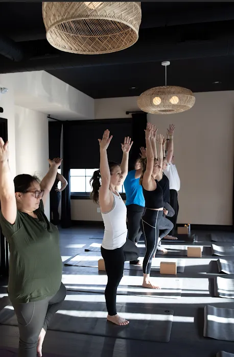 Blackbird Yoga Studio Picture 6