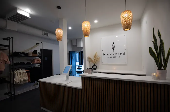 Blackbird Yoga Studio Picture 7