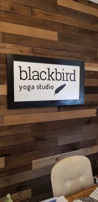 Blackbird Yoga Studio Picture 4