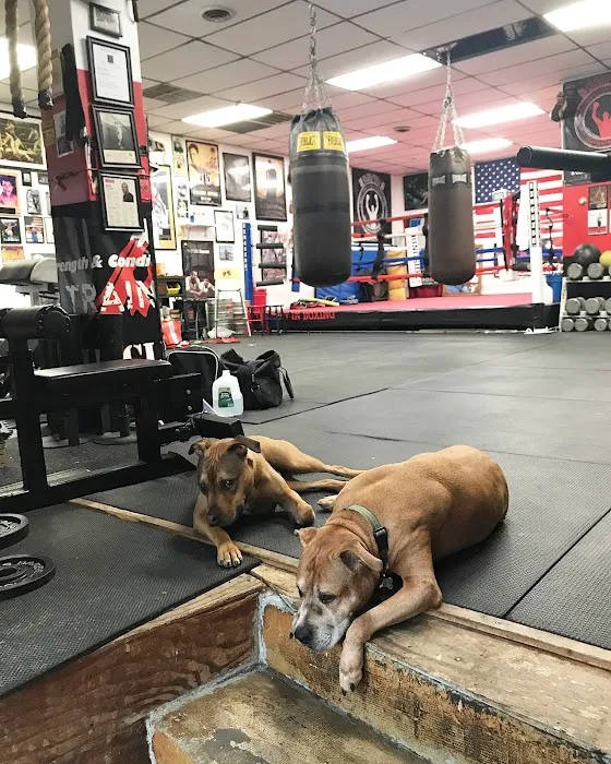 The YESS Boxing Club Picture 6