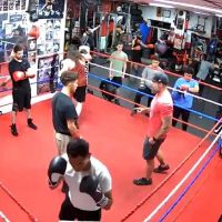 The YESS Boxing Club ico
