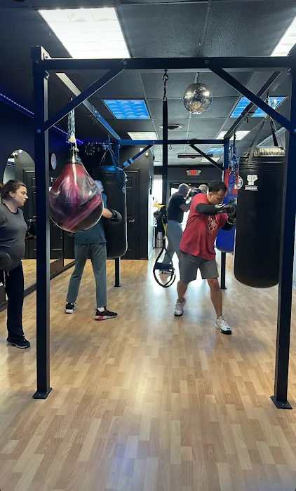 Square Circle Boxing Picture 1