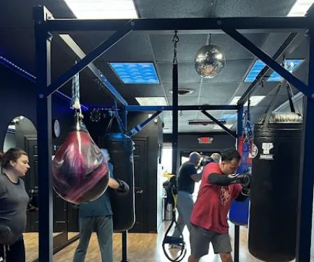 Square Circle Boxing