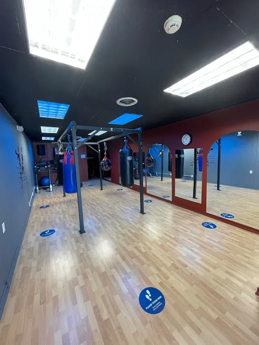 Square Circle Boxing Picture 3