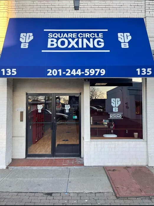Square Circle Boxing Picture 4