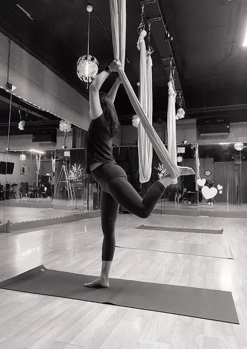 Aerial Flying Yoga Studio Picture 5