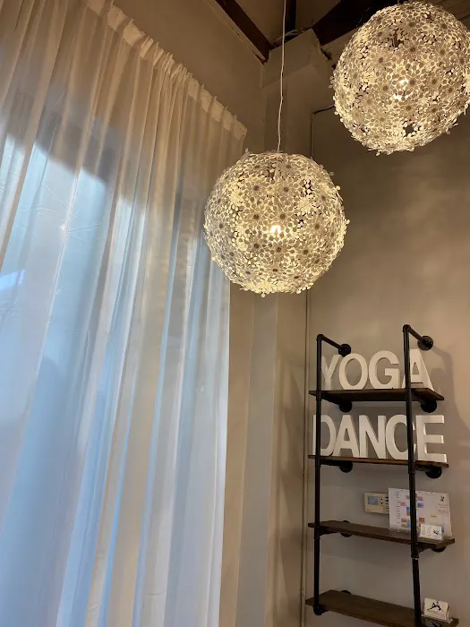 Aerial Flying Yoga Studio Picture 8