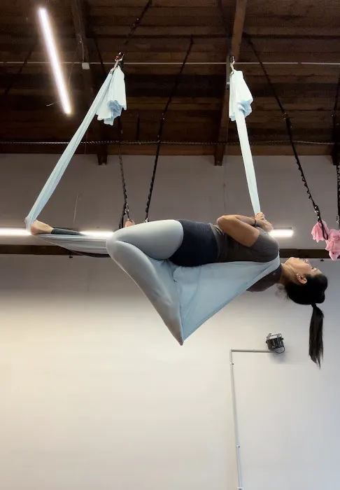 Aerial Flying Yoga Studio Picture 7