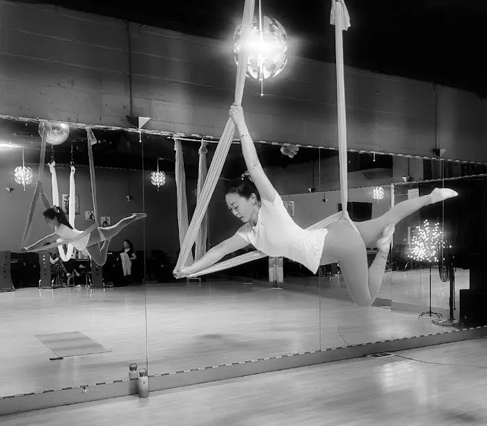 Aerial Flying Yoga Studio Picture 9
