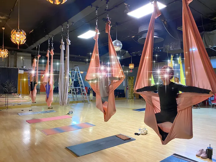 Aerial Flying Yoga Studio Picture 10