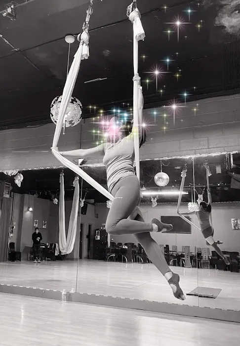 Aerial Flying Yoga Studio Picture 6