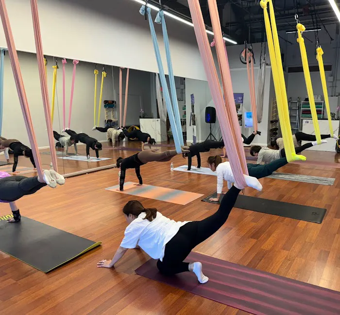 Aerial Flying Yoga Studio Picture 2
