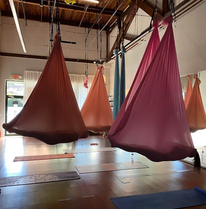 Aerial Flying Yoga Studio Picture 3