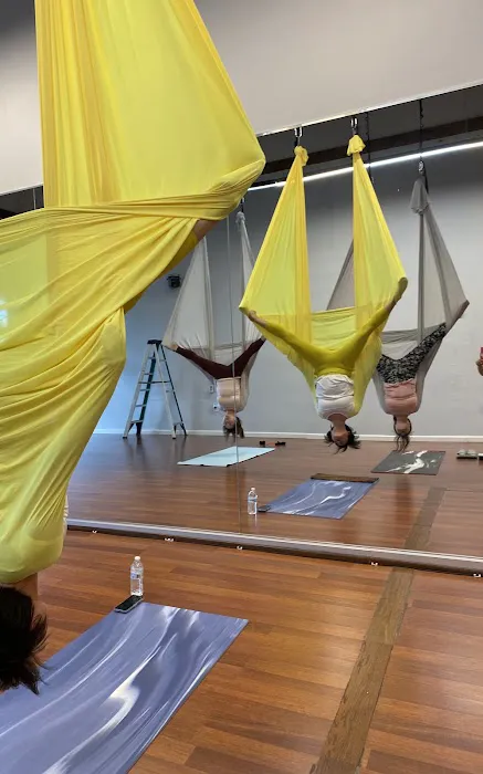 Aerial Flying Yoga Studio Picture 4