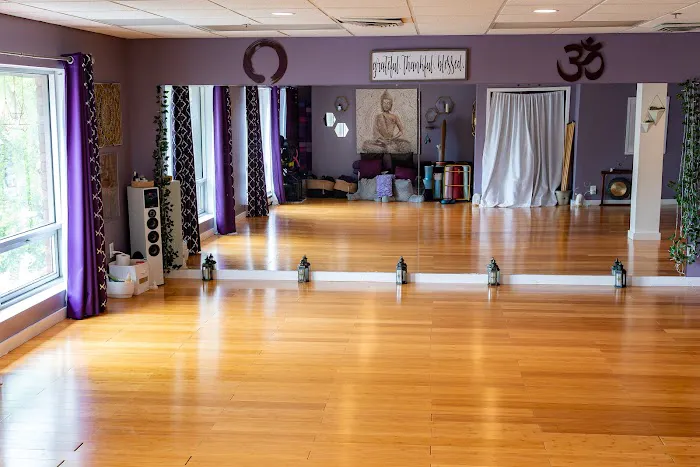 Insight Yoga and Meditation Picture 4